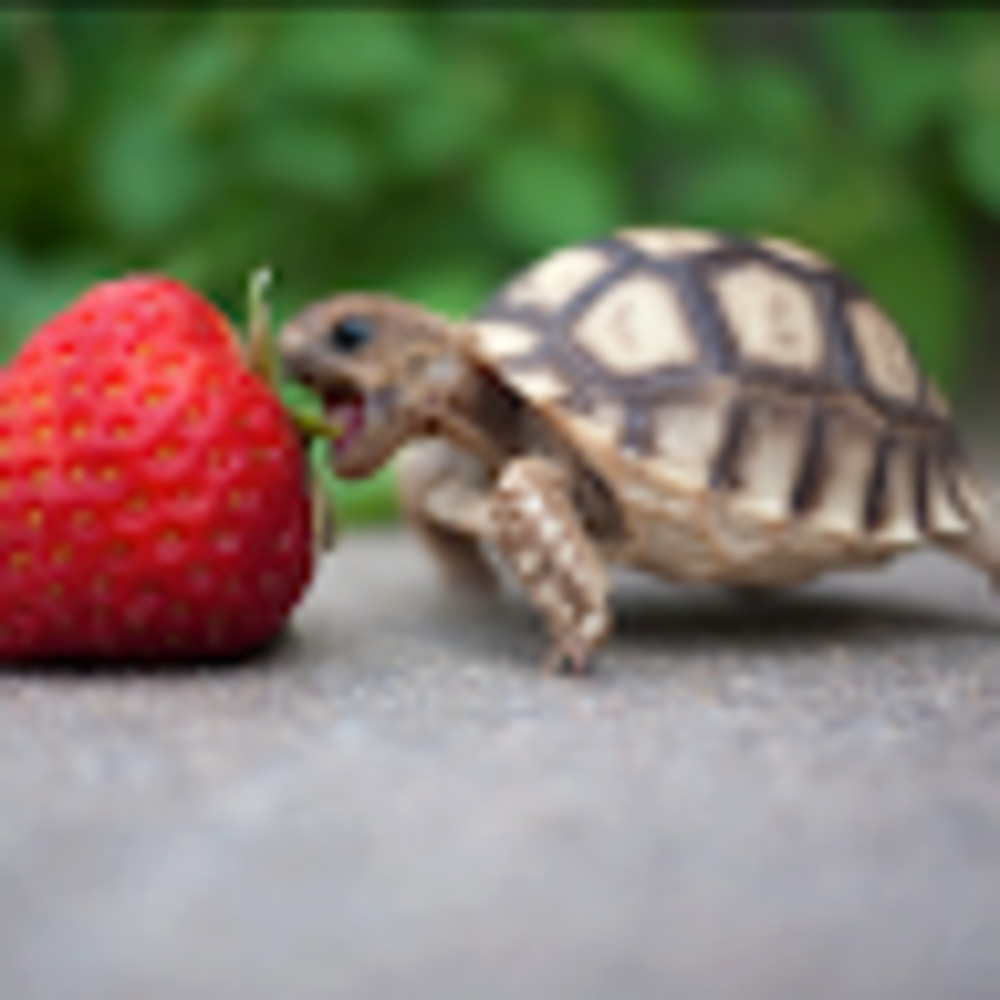 Meet your Posher, Kimberly